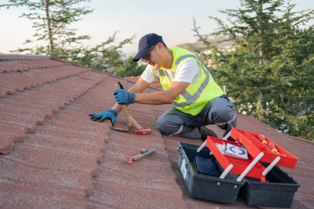 Best Storm Damage Roof Repair  in Sycamore, IL